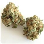 Шишки "White Widow"  (Белая вдова)  Гидропоника -  Бошка VHQ в Ялуторовске