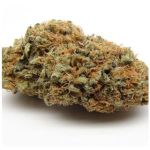 Шишки AK47 (Гидропоника, Бошка) VHQ в Ялуторовске Шишки AK47 (Гидропоника, Бошка) VHQ в Ялуторовске