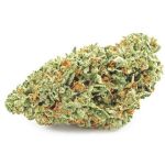 Шишки OG Kush (Гидропоника, бошки) VHQ в Ялуторовске Шишки OG Kush (Гидропоника, бошки) VHQ в Ялуторовске